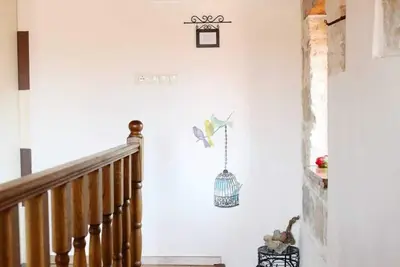 Apartments Zecic
