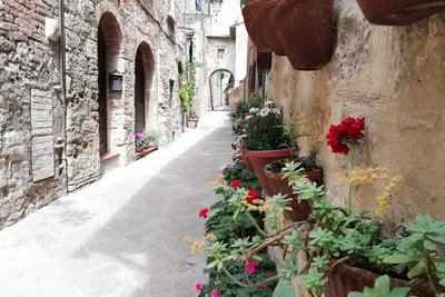 Image de La maison du photographe