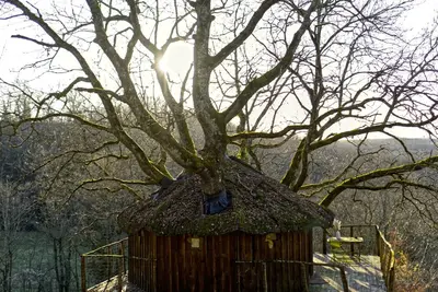 Image de ----- Cabane Amour--- Cabane perchée pour 4 voyageurs