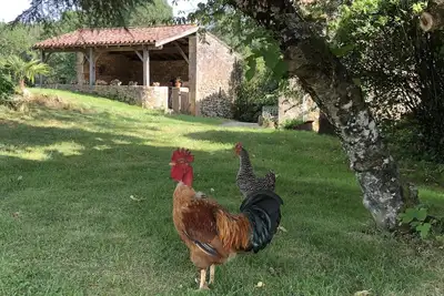 Image de Le Gîte de Lascarcelles proche Château de Bonaguil