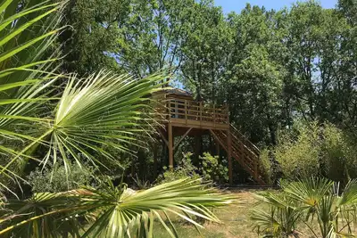 Image de Logement insolite, cabane  dans les arbres avec une terrasse panoramique!