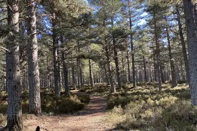 Image de Cairn Toul est un chalet confortable et bien équipé, idéal pour une escapade dans les Highlands