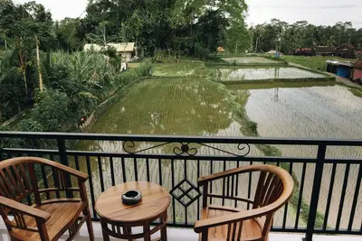 Image de 1 chambre avec vue sur les rizières