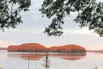 Image de Retraite unique sur le lac Caddo avec une vue spectaculaire sur le front de mer