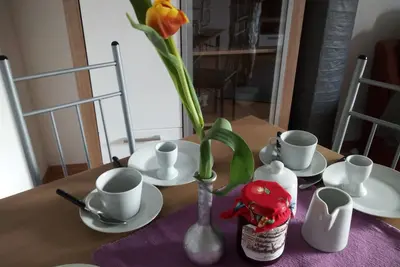 Image de Appartement / app. pour 4 personnes avec 60m² à Villingen-Schwenningen (119696)