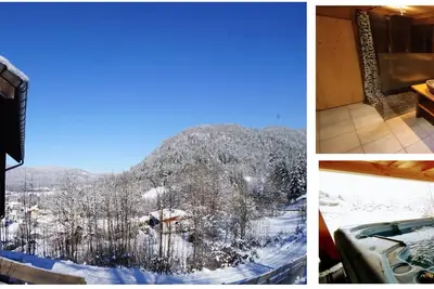 Image de Chalet indépendant Bain à Remous & Sauna Privatifs