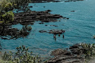 Image de Maison de vacances en bord de mer à Te Kaha