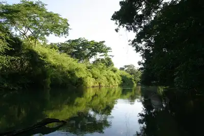 Cabane Iguane - Cabanes de la rivière Cohune Palms