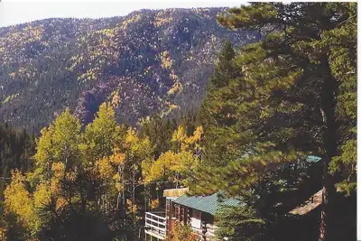 Image de Cette cabine de ranch incroyable est le mieux adapté pour au moins semi-aventureux.