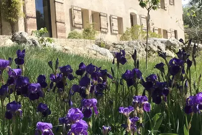 Image de Mas en provence avec vue exceptionnelle sur le Luberon