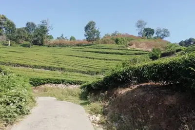 Image de Linten Holiday Resort, Propriété située à Munnar. À 4, 7 km de la ville de Munnar