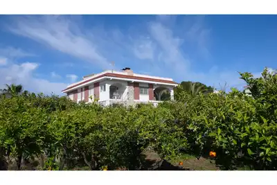 Villa à Busot avec 5 chambres et piscine privée