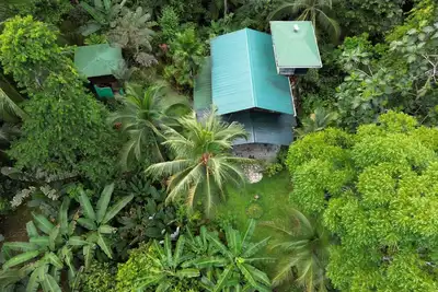 Image de An immersive experience in the Osa rainforest