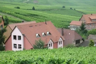 Image de Gîte Chez Le Vigneron pour 4 personnes