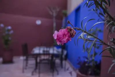Image de Riad Dar Bobby Marrakech: Chambre 4