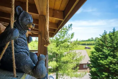 Image de Près de Dollywood, bain à remous, billets gratuits pour les attractions locales.