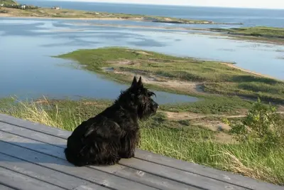 Image de Marchez jusqu'à la baie + Hilltop Bay, Port, Marsh Vues!