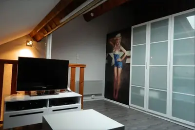 Image de Triplex Type Loft, entièrement rénové, ascenseur, 6 pers, 2 Sdb, Idéal famille