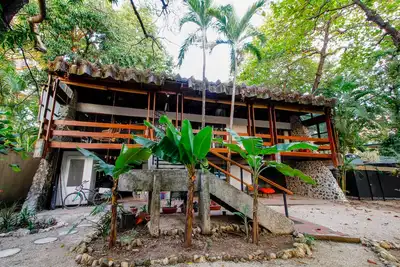 Image de Refuge tropical dans une maison écologique historique