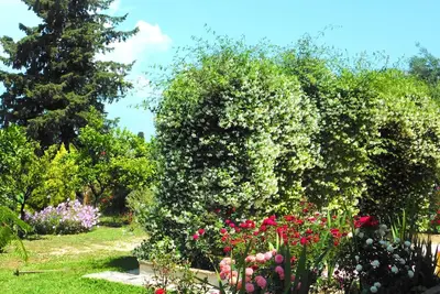 Image de Déco Privé, Décoré Confortable, Cottage Fantaisie Et Moderne Avec Vue Sur Mer Et Jardin.