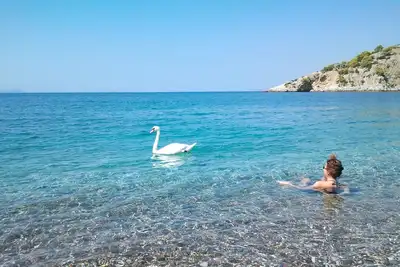Studios en bord de mer dans une baie préservée à seulement 1h de route d'Athènes (Psatha - Attique)
