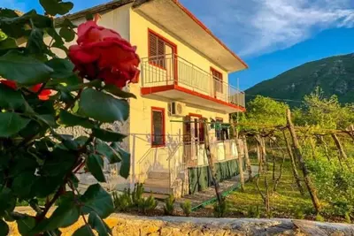 Image de Etno House Mira et Winery