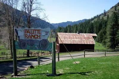Image de La sérénité sur le fleuve, où la nature a remis la vie en perspective