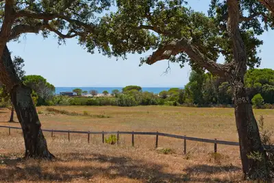 Image de Ideal villa for nature and beach lovers, 200m from the magnificent Palombaggia!