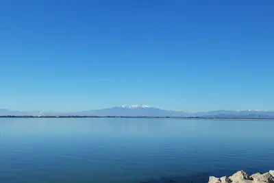 Image de jolie Mas ile des pêcheurs au bord de l'étang