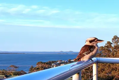 Image de Vues imbattables sur Port Stephens - Eaux du Pacifique