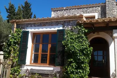 Image de Fleur de Tramuntana