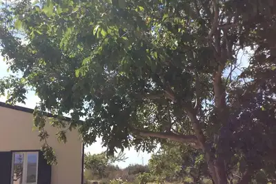 Image de Casa Lorenza, une maison de campagne entourée de verdure.