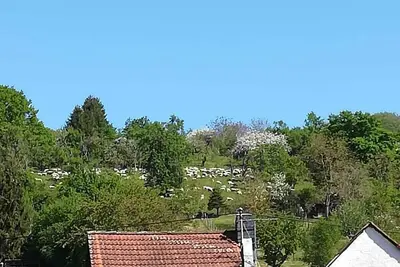 Image de Appartement dans un emplacement central naturel et calme Ă Limes et Rheinsteig