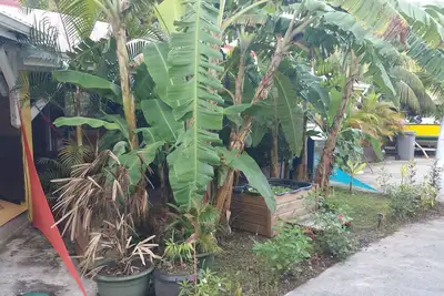 Image de 1 bungalow   studio