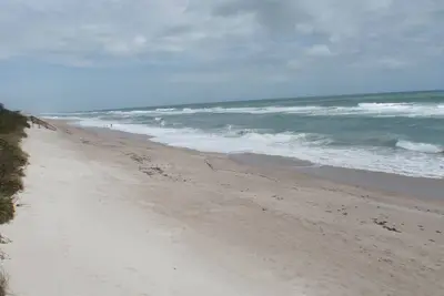 Image de Oceanfront Fantastique au Coeur de Tout. Proche de Toute L'action