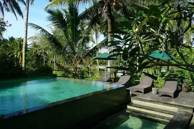 Image de Upstairs Garden Apartment 1 Br, 1ba, Piscine