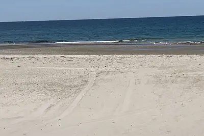 Image de Plage de cheval blanc Ă Plymouth