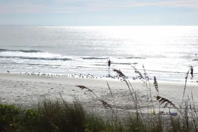 Image de Grand condo en bord de mer. Profitez du lever du soleil et regardez les crevettiers et les dauphins