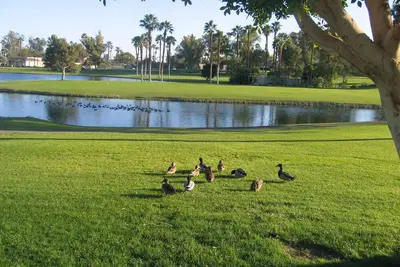 Image de Maison de ville Oasis - 18e vue sur le fairway, le lac et le country club - Oiseaux De Neige