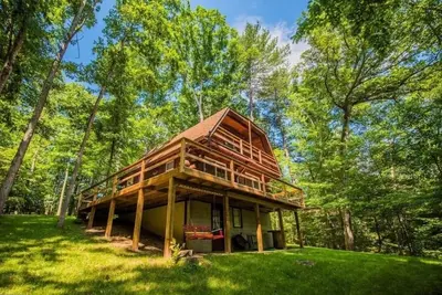 Image de Joyau caché dans les bois