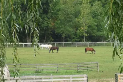 Image de Retraite paisible dans une ferme familiale près de Palgrave & Alliston