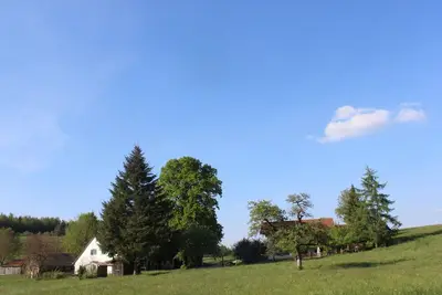 Image de Temps mort au Lindenhof