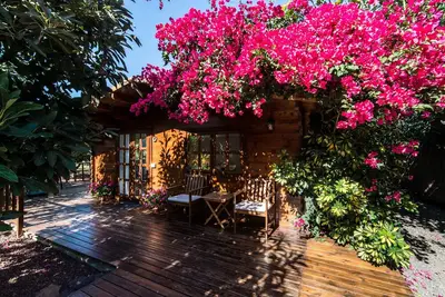 Image de 2 chalets neufs dans une plantation d'avocat près de la plage de Bollullo et de Puerto Cruz