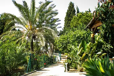 Image de Villa avec jardin et verger avec vue mer