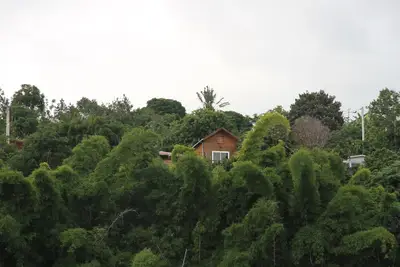 Image de Chalet De Charme, Vue Sur Ocean