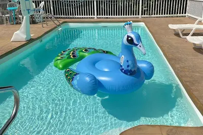 Image de Piscine privée côté lac. Grande maison de sept chambres. Piscine ouverte jusqu'à mi-octobre