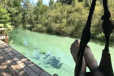 Image de Sirènes, lamantins, kayak, nager dans les eaux printanières du Weeki Wachee
