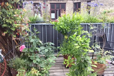 Image de Appartement spacieux au coeur de Copenhague