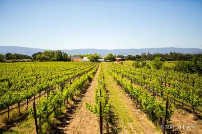 Image de Maison vigneronne pour les amateurs d'art