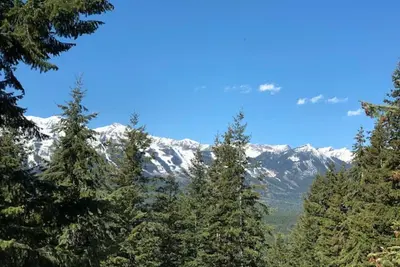 Image de Golden Pine House: détendez-vous dans les montagnes Rocheuses avec une cour clôturée pour votre plaisir